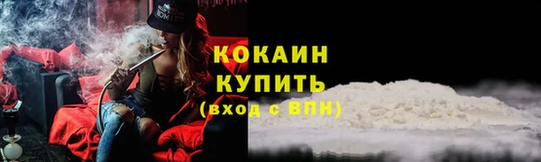 гидра Горнозаводск