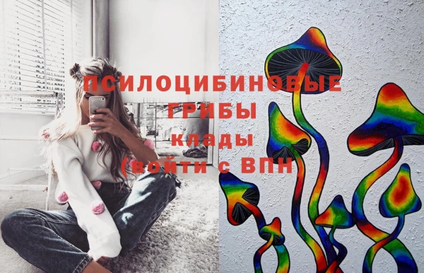 гидра Горнозаводск