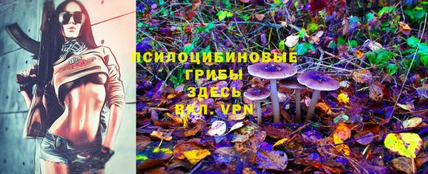 кокаин Вяземский